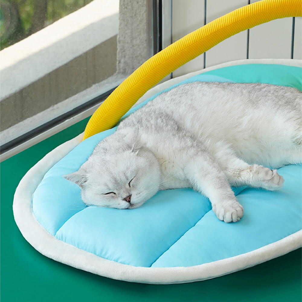 Summer-Themed Pet Bed Playful Comfortable Sandal Design