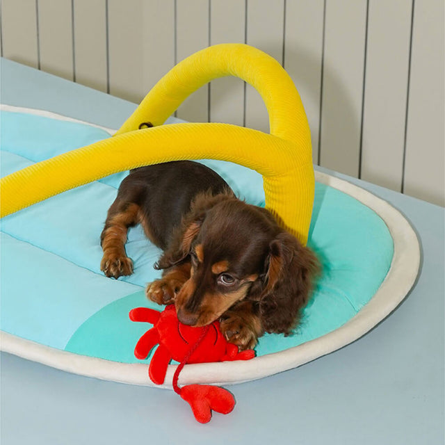 Summer-Themed Pet Bed Playful Comfortable Sandal Design