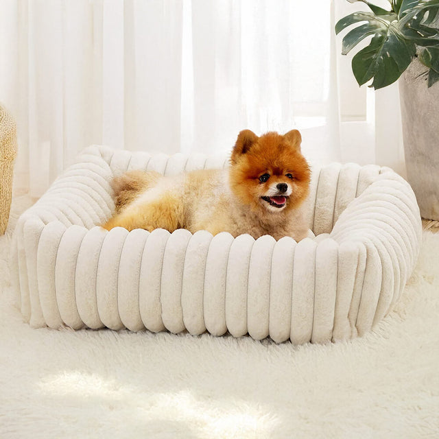 Bolstered Orthopedic Pet Bed Warm Supportive Cozy Foam
