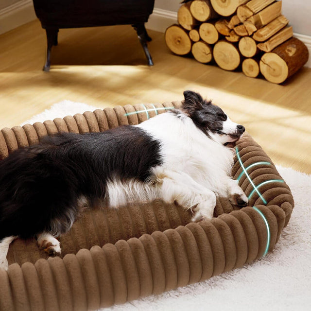 Bolstered Orthopedic Pet Bed Warm Supportive Cozy Foam