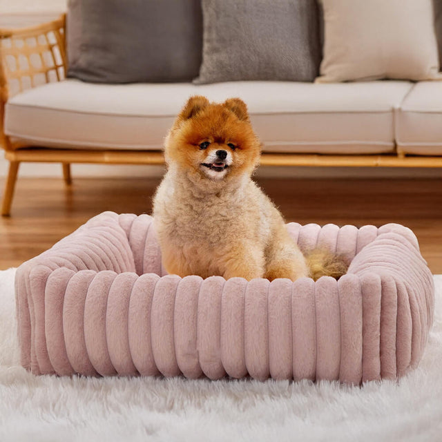 Bolstered Orthopedic Pet Bed Warm Supportive Cozy Foam