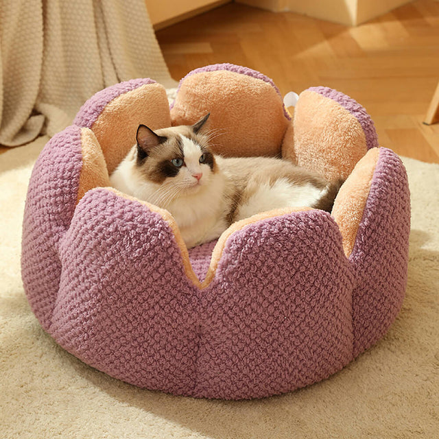 Cactus Shape Comfy Pet Bed Soft Coral Velvet Design