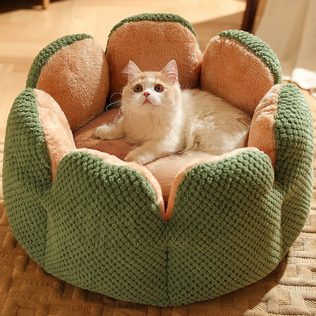 Cactus Shape Comfy Pet Bed Soft Coral Velvet Design