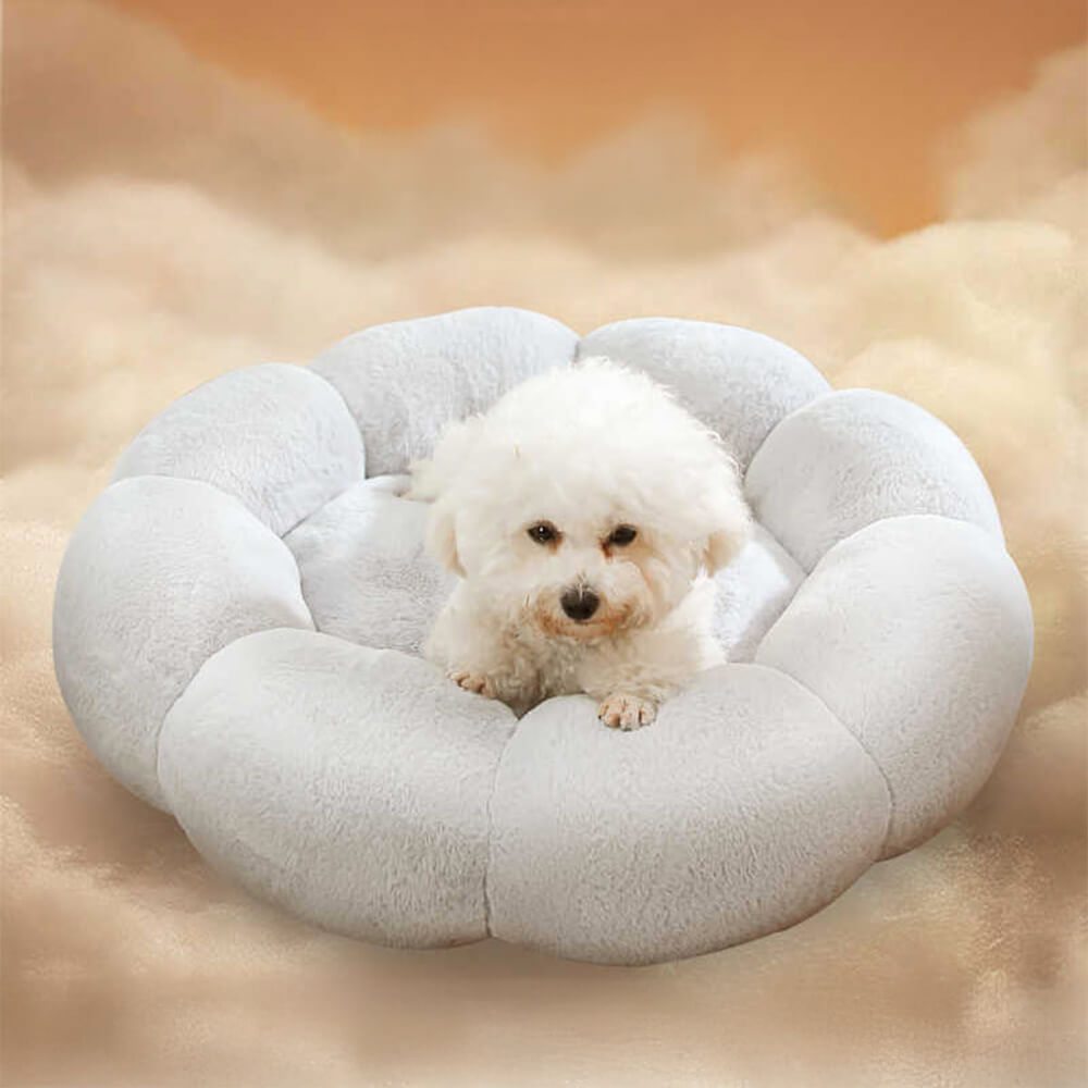 Flower Shaped Plush Pet Bed Cozy Supportive Stylish Design