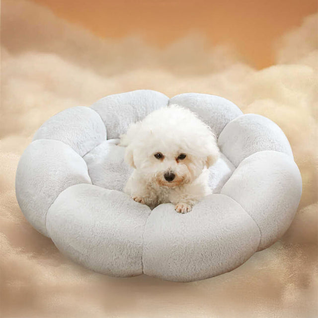 Flower Shaped Plush Pet Bed Cozy Supportive Stylish Design