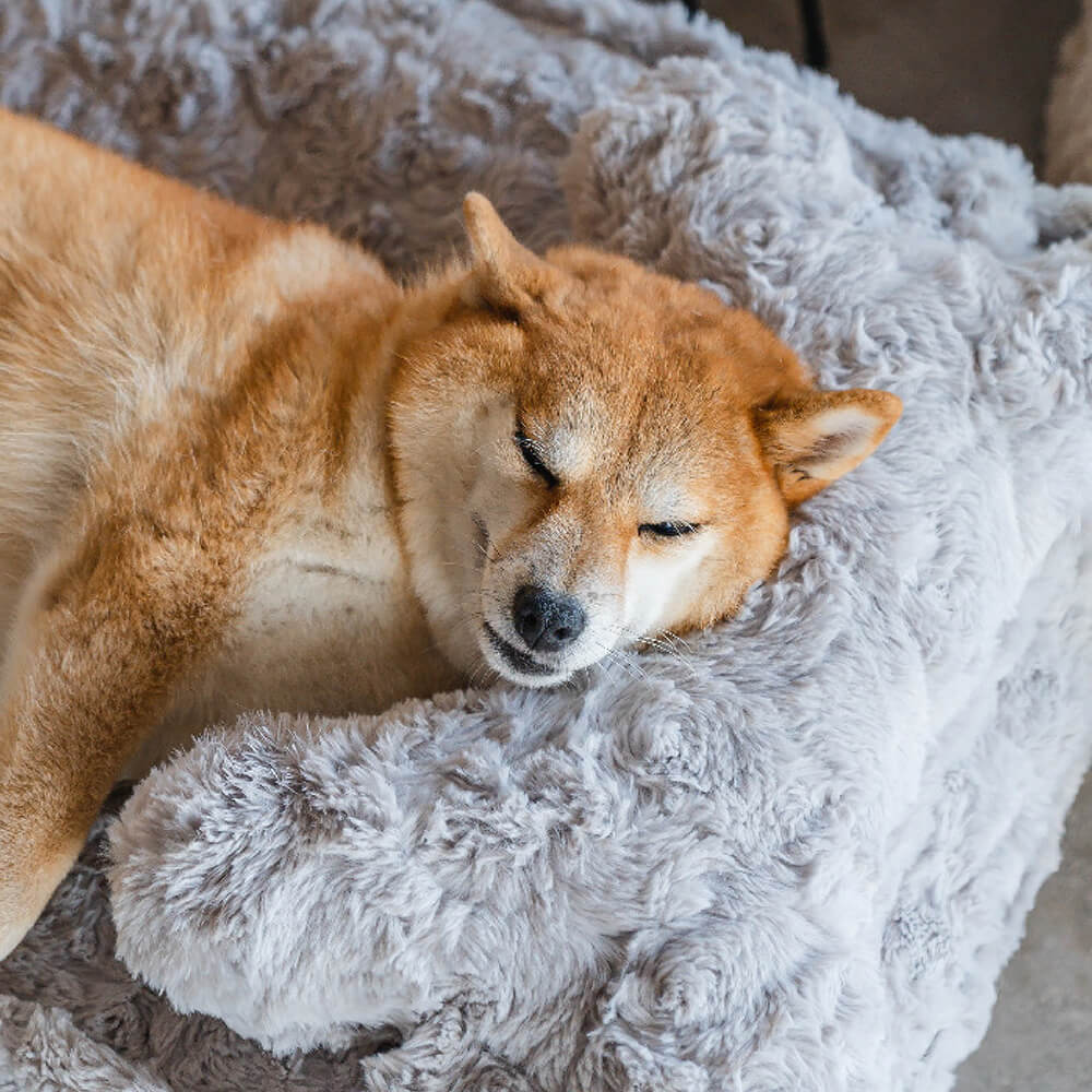 Warming Fluffy Round Cloud Dog Bed with Supportive Pillow
