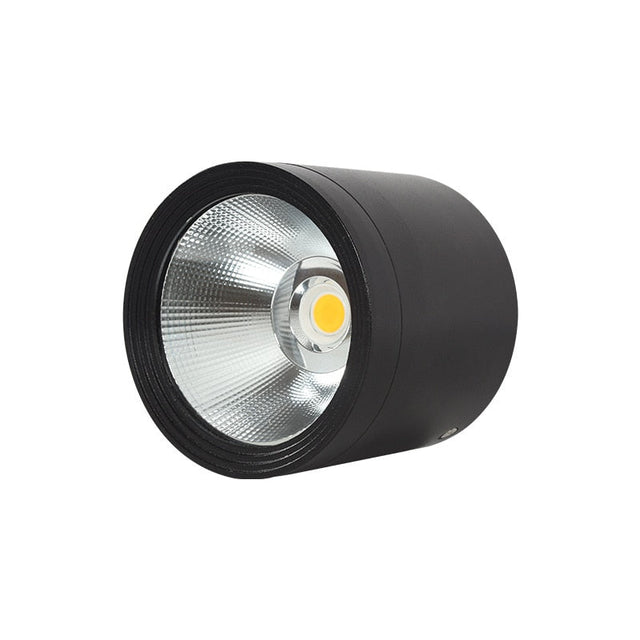 Itzel - Waterproof IP65 Flush Mount LED Outdoor Light