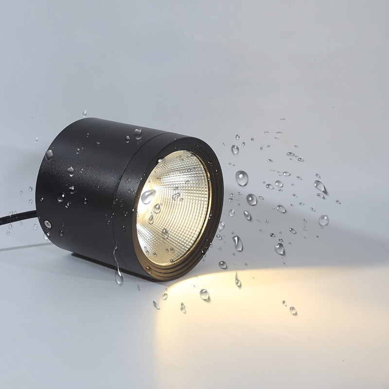 Itzel - Waterproof IP65 Flush Mount LED Outdoor Light