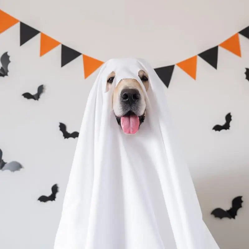 Halloween Dog Ghost Costume – Soft Polyester Cloak for Pets, Perfect for Outdoor Walks and Photo Props 1