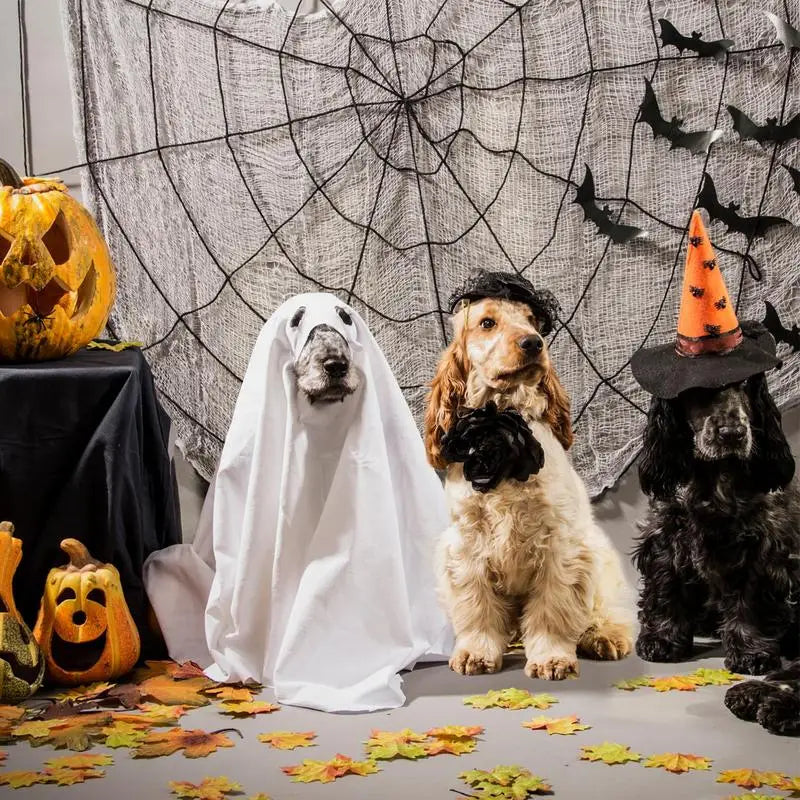 Halloween Dog Ghost Costume – Soft Polyester Cloak for Pets, Perfect for Outdoor Walks and Photo Props 4