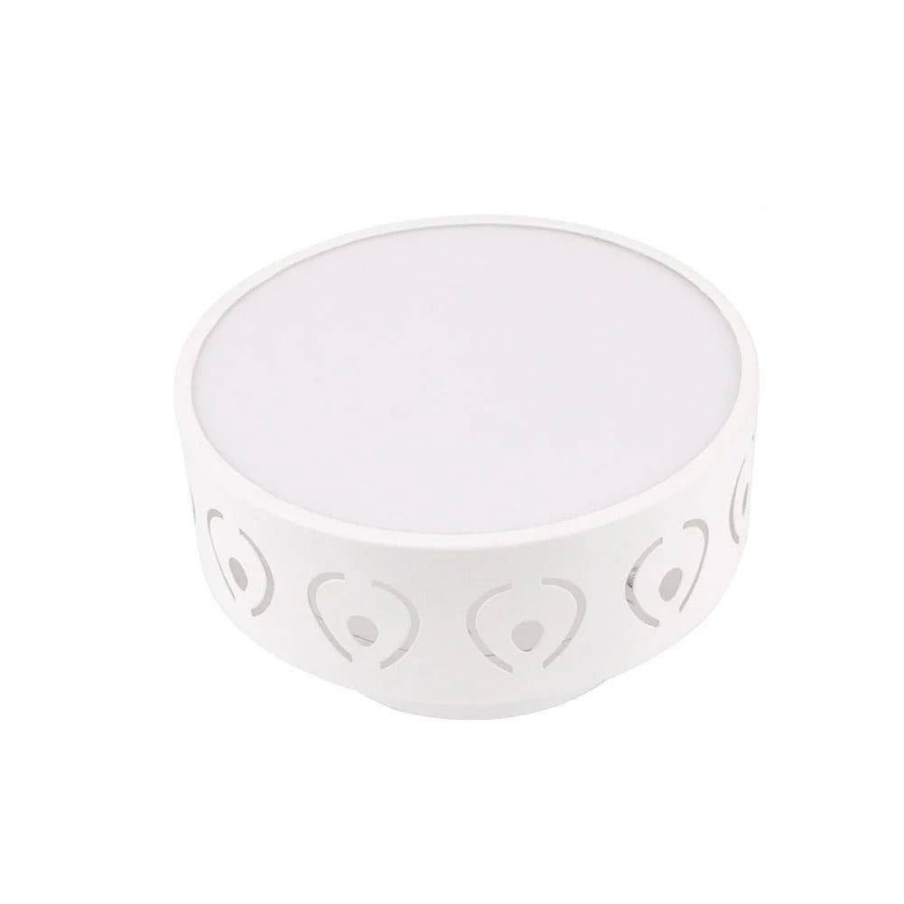 Elegant Hallway Ceiling Light – Warm or Cool White