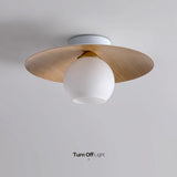 Modern Halway Ceiling Lights 4