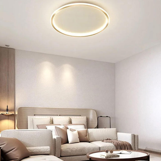 Nordic Style Disc LED Ceiling Lighting 10