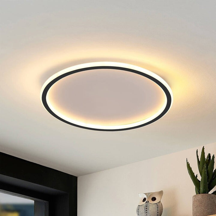 Nordic Style Disc LED Ceiling Lighting 6