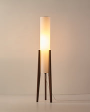 Wabi-Sabi LED Floor Lamp with Natural Wood Design