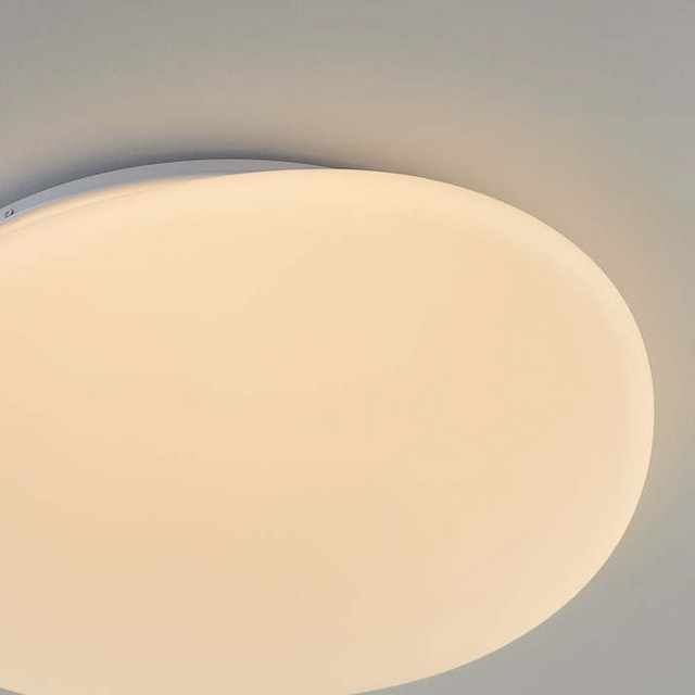 Flush Mount Ceiling Light
