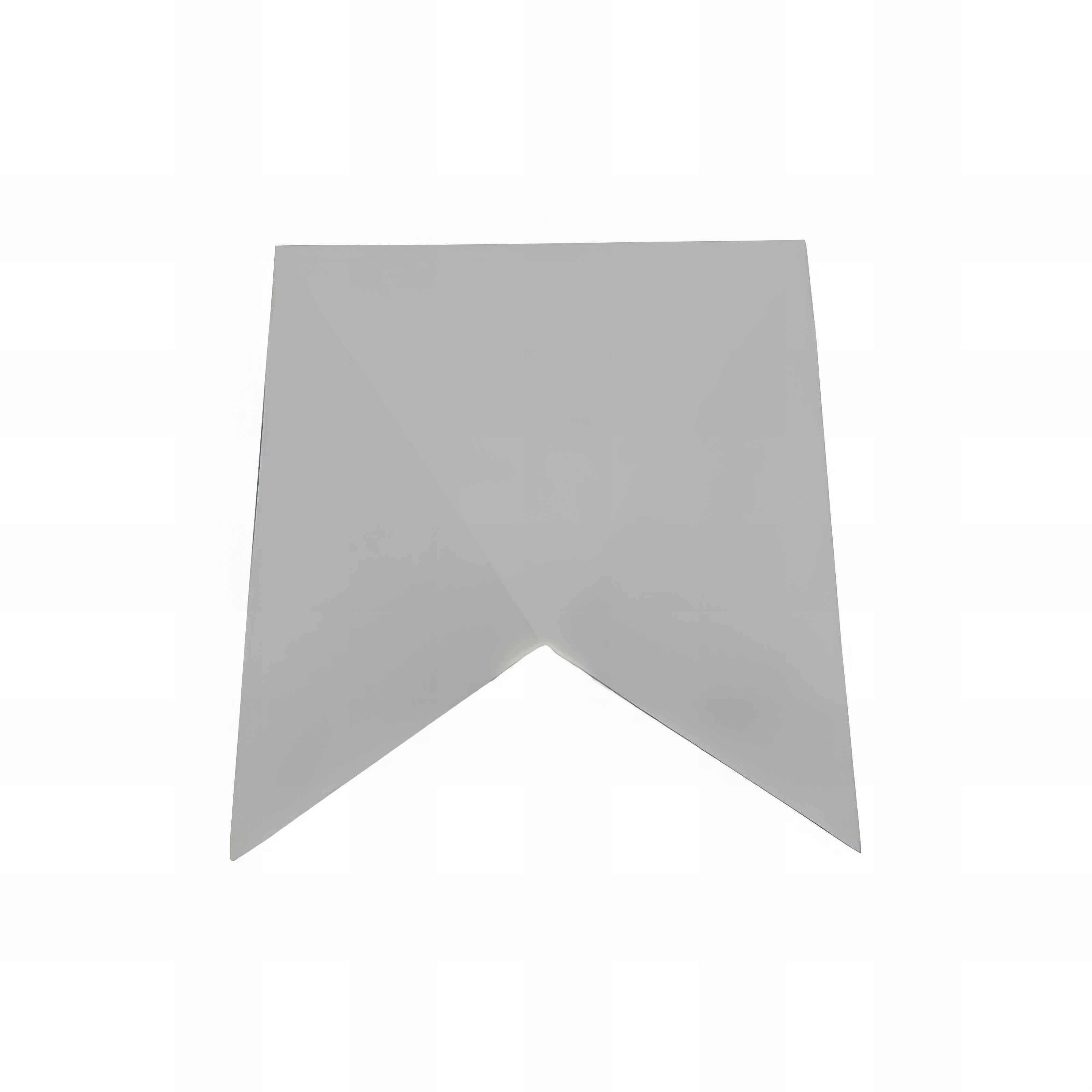 Rayden - Modern Down Outdoor Wall Light in Black or White