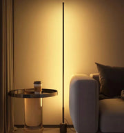 Dexter - Sleek Adjustable LED Strip Floor Lamp with Dimming