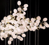 Zygote Chandelier – Contemporary LED Pendant Light | 5 Sizes, Includes Bulbs, Perfect for Stylish Interiors