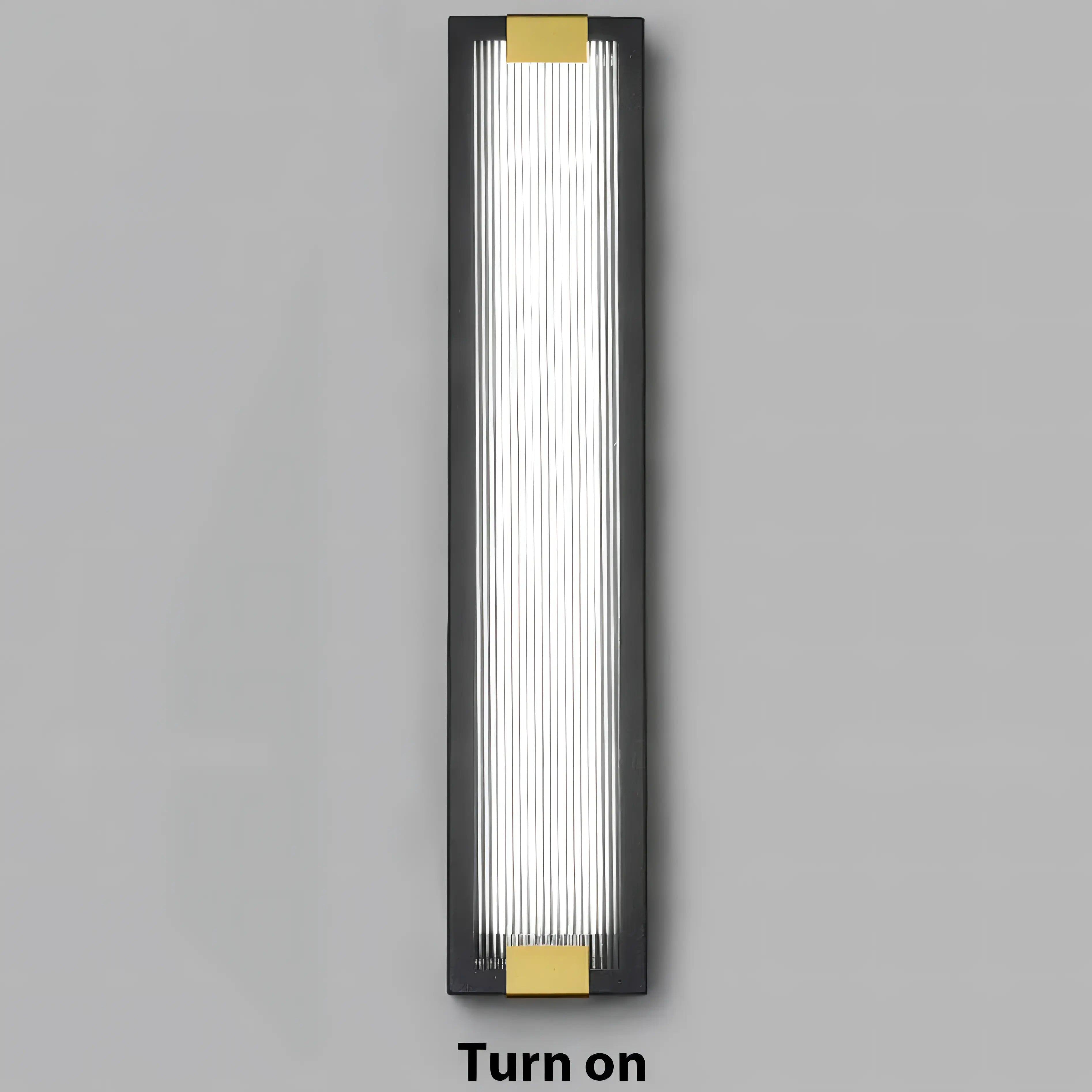 Barrios - Stainless Steel Rectangular Acrylic Outdoor Light