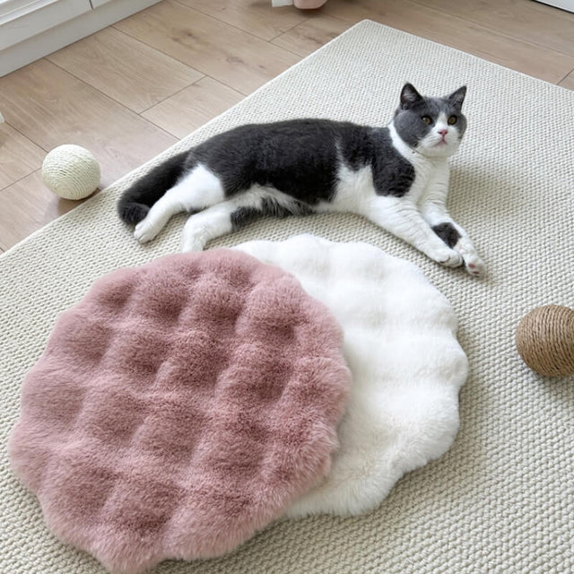 Soft Plush Warm Pet Sleeping Pad Cozy Stylish Easy to Maintain