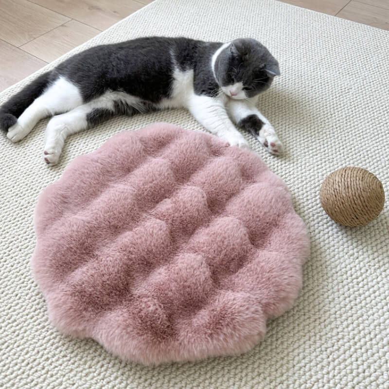 Soft Plush Warm Pet Sleeping Pad Cozy Stylish Easy to Maintain