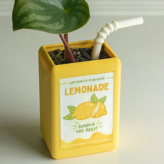 Cartoon Juice Box Shape Plant Pot - Durable Resin Decor