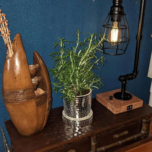 Ceramic Disco Mirror Ball Planter Pot with Drainage Hole