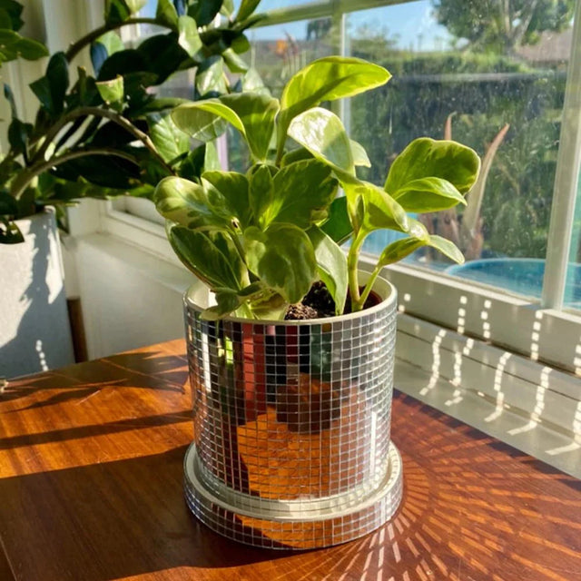 Ceramic Disco Mirror Ball Planter Pot with Drainage Hole