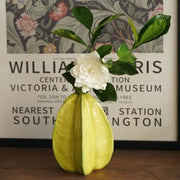 Ceramic Star Fruit Flower Vase Unique Decorative Pot