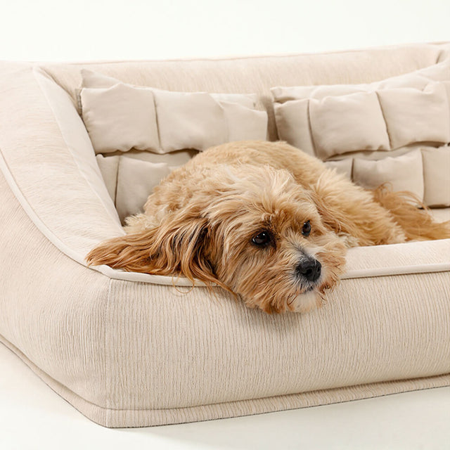 Comfort Orthopedic Dog Sofa Bed Supportive Stylish Foam