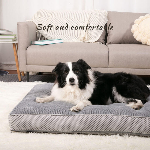 Premium Orthopedic Dog Bed Breathable Supportive Easy to Clean