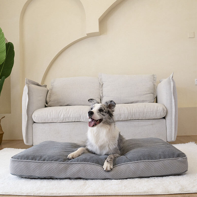 Premium Orthopedic Dog Bed Breathable Supportive Easy to Clean