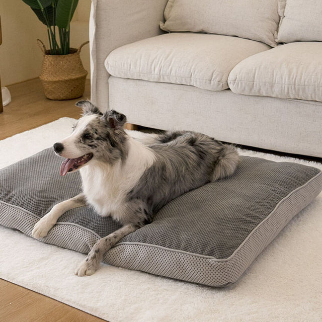 Premium Orthopedic Dog Bed Breathable Supportive Easy to Clean