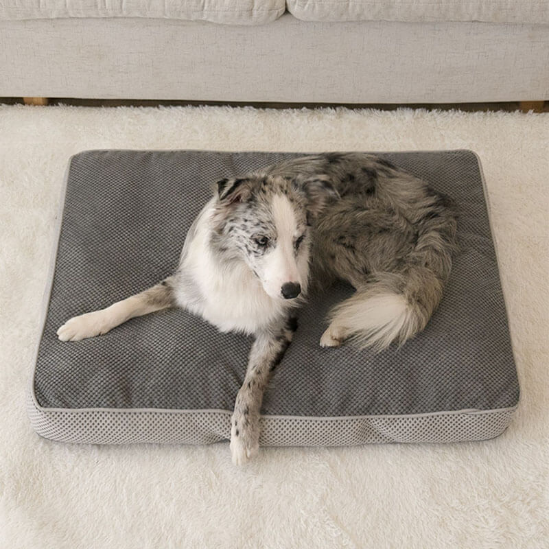 Premium Orthopedic Dog Bed Breathable Supportive Easy to Clean