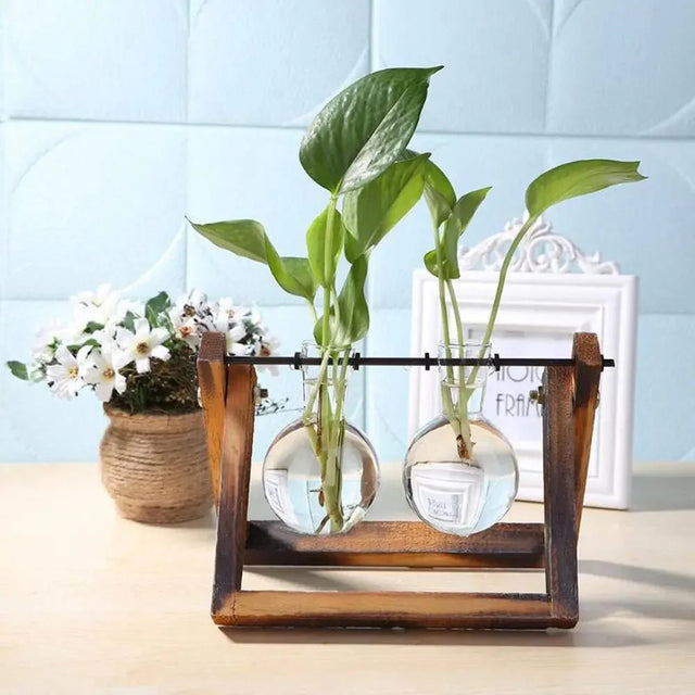 Hydroponic Glass Terrarium Tabletop Trays with Wooden Frame