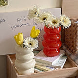 Modern Glass Flower Vase for Dried Arrangements and Hydroponics