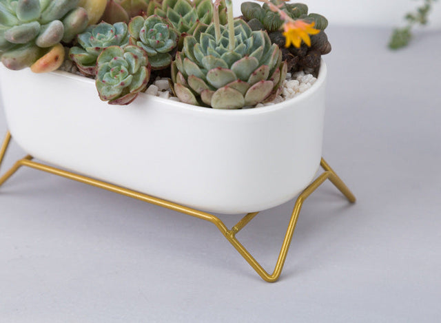 White Ceramic Succulent Plant Pot with Stylish Gold Stand