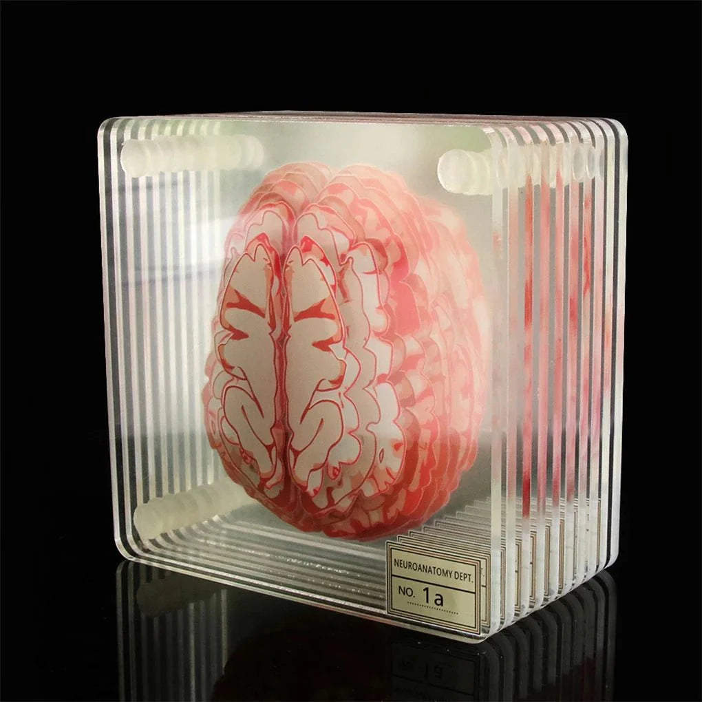 Novelty Ten Piece 'Brain' Coaster Set in Unique Design